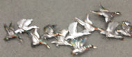 Flock of Birds